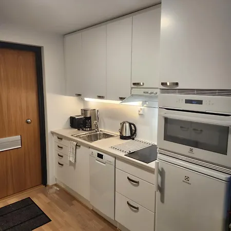 Apartment Laadukas Kalustettu Yksioe Logomolla 1-2hloe Turku