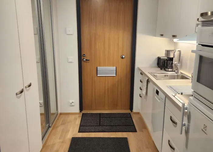 Laadukas Kalustettu Yksioe Logomolla 1-2hloe *