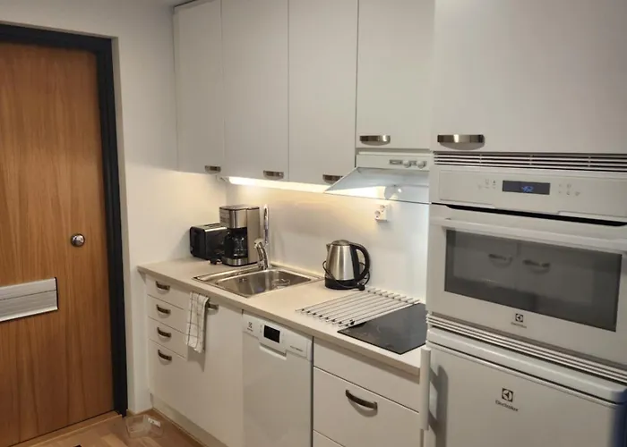 Apartamento Laadukas Kalustettu Yksioe Logomolla 1-2hloe Turku